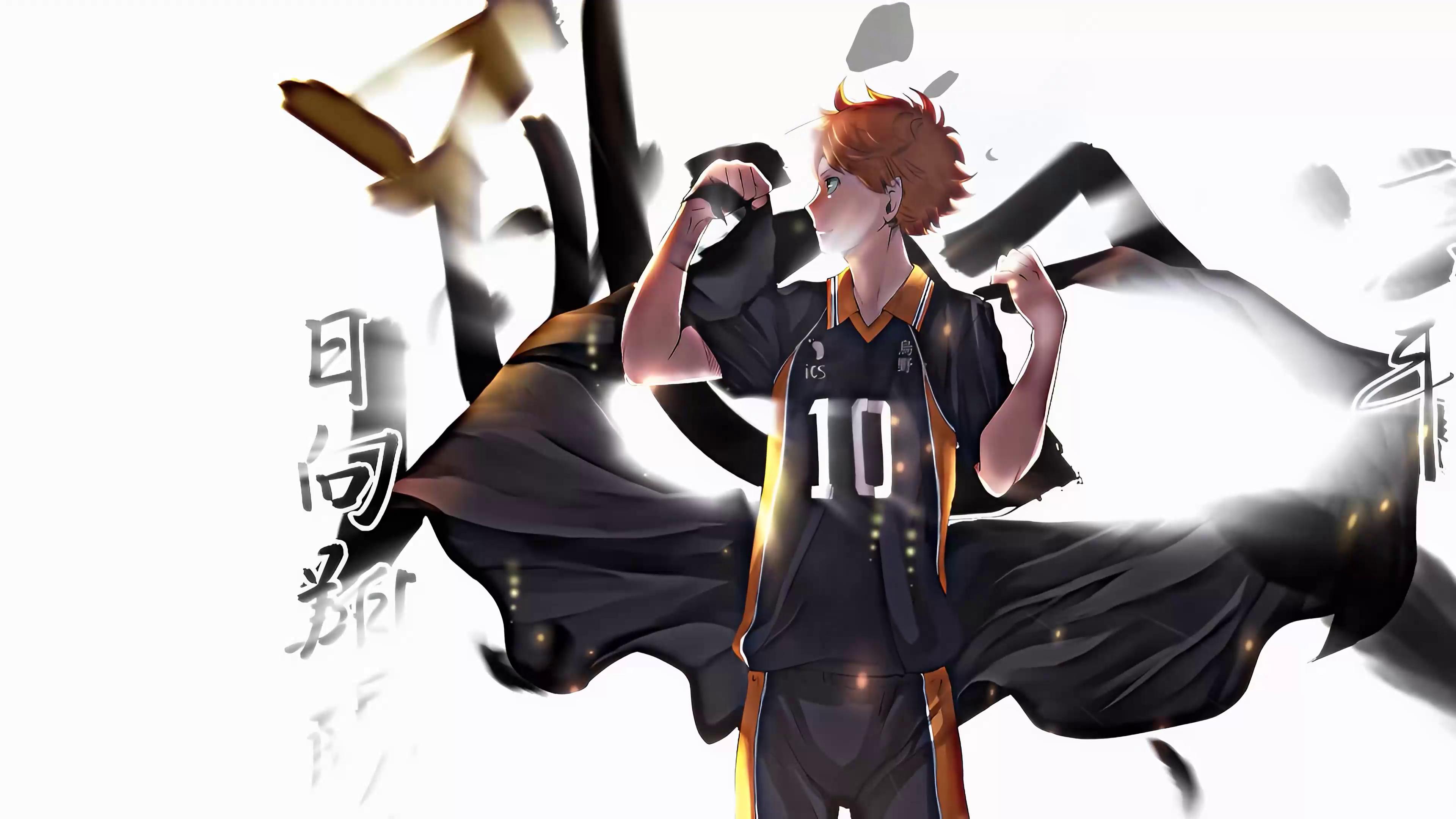 Rising Star Shoyo Hinata Live Wallpaper — free download